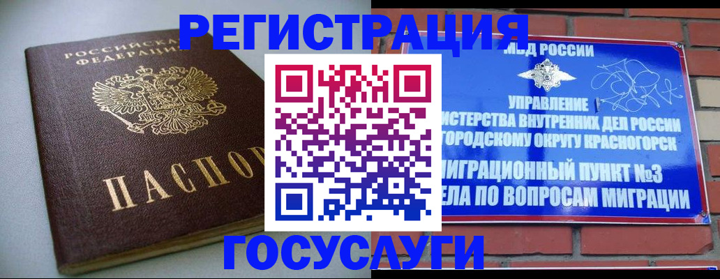 временная прописка в Щиграх